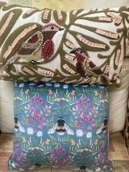 Photo of free Cushions (Lancing BN15) #2