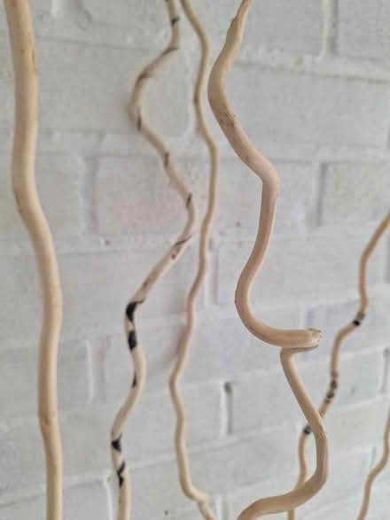 Photo of free Decorative sticks (Kingscourt, Stroud) #2