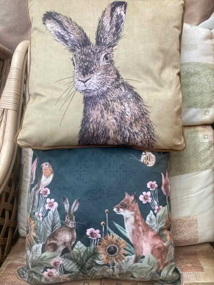 Photo of free Cushions (Lancing BN15) #1