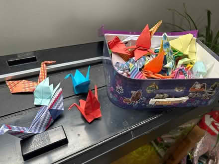 Photo of free Box of origami animals (Loughton MK5) #1
