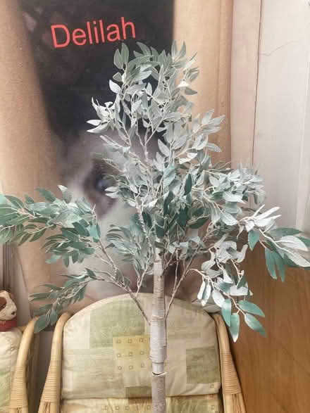 Photo of free Tree that lights up (Lancing BN15) #1