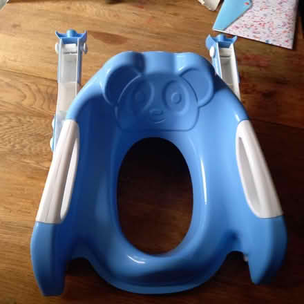 Photo of free Toilet seat and ladder (Dorking) #1