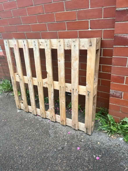 Photo of free Wooden pallet (Pen-y-Lan CF23) #1