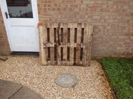 Photo of free Wooden pallet 1m2 (Portchester PO16) #1