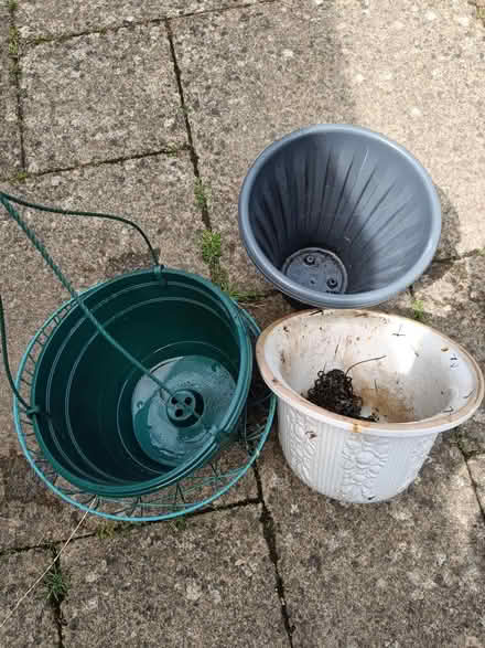 Photo of free Hanging baskets (Southbourne) #1