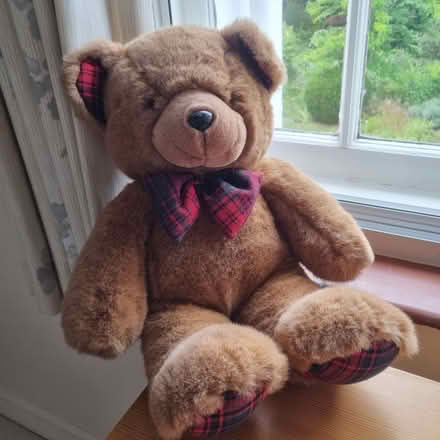 Photo of free Teddy bear (Hertford SG13) #2