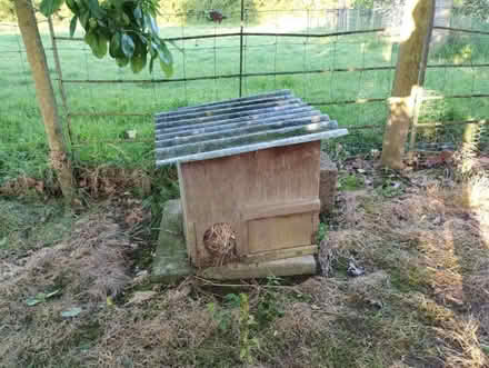 Photo of free Animal runs (Much Cowarne HR7) #4