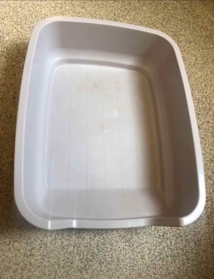 Photo of free Kitten litter tray (Brookvale RG21) #1