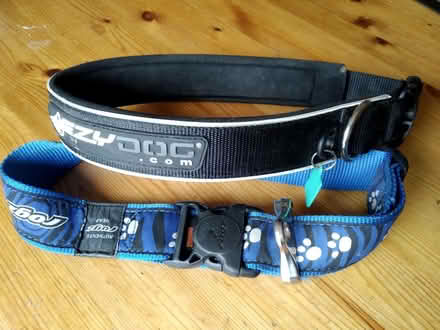 Photo of free Large dog collars (Howey LD1) #1