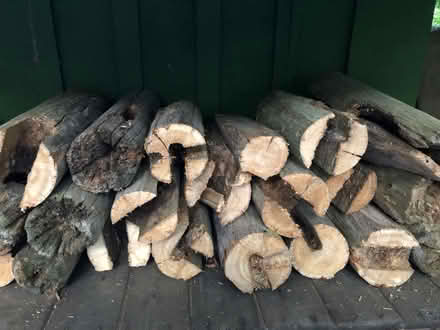 Photo of free Wood for outdoor firepit (Upper Saddle River NJ 07458) #1