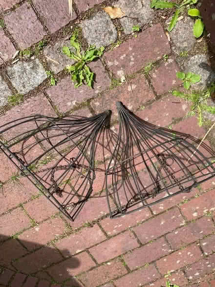 Photo of free 2 Hanging baskets (Speldhurst TN3) #1