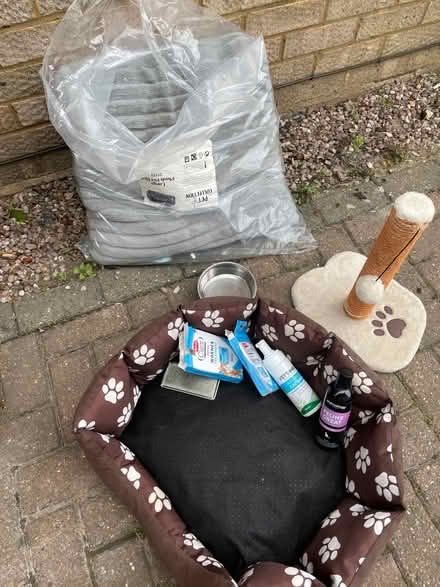 Photo of free Cat Stuff (The Rowans Baldock) #1