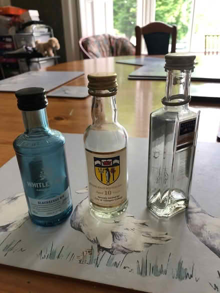 Photo of free Miniature glass bottles (empty!) (Stirling FK8) #1