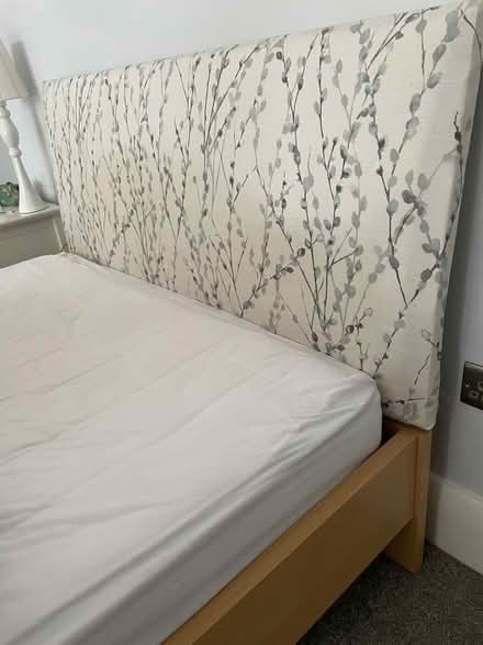 Photo of free Bed (Nunthorpe TS7) #1