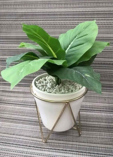 Photo of free Artificial pot plant (IP8) #1