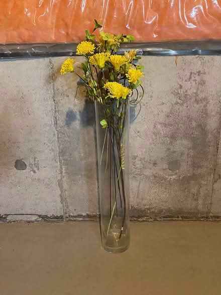 Photo of free large glass vase (Kanata) #1