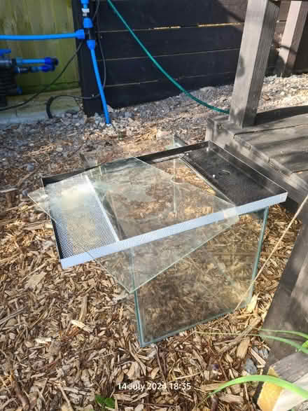 Photo of free Terrarium (BS24) #1