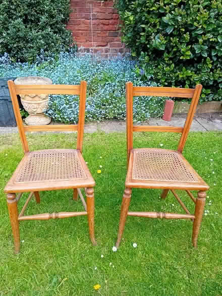 Photo of free Small dining chairs (CH2 Chester) #1