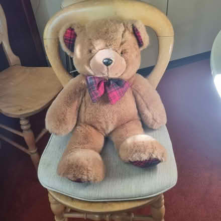 Photo of free Teddy bear (Hertford SG13) #1
