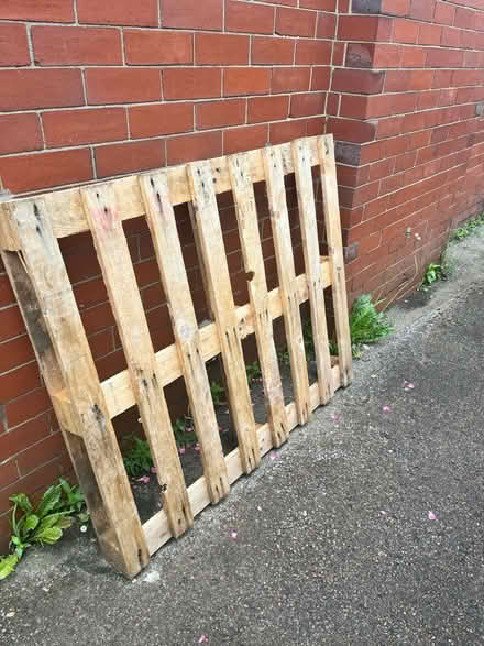 Photo of free Wooden pallet (Pen-y-Lan CF23) #2