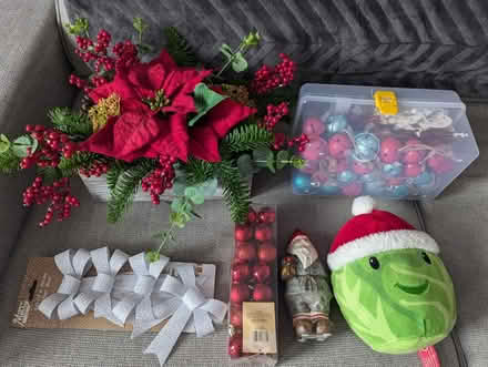 Photo of free Christmas decorations (Emerson Park RM11) #1