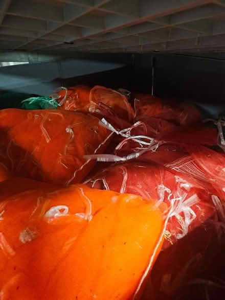Photo of free Net bags (Milton Rd, Impington) #2