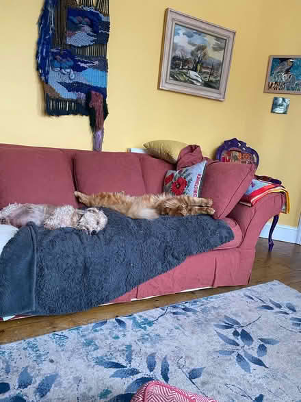 Photo of free Large comfy sofa (Blackheath, SE3) #2