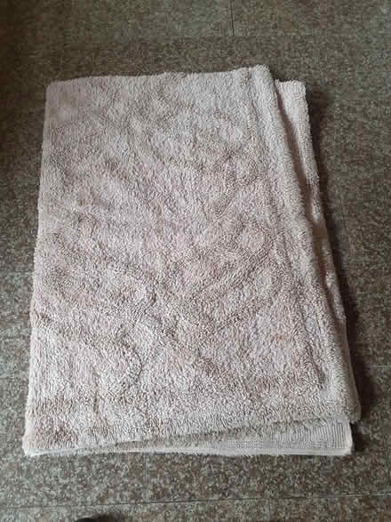 Photo of free Large rug 88in x 64in (Bray) #1