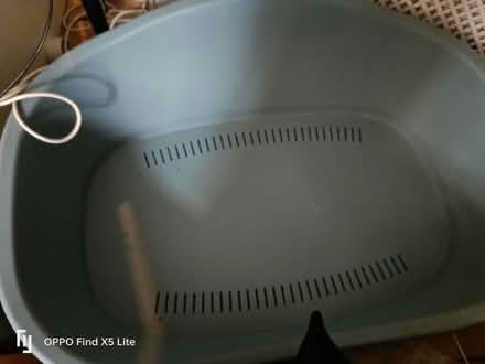 Photo of free Huge dog bed (Clifton wood) #1