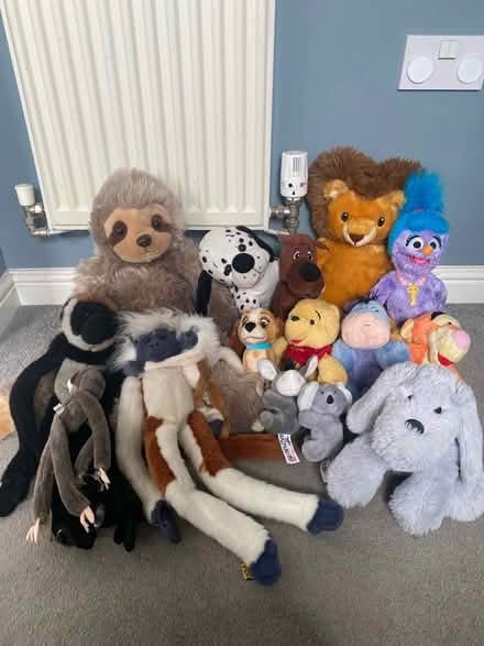 Photo of free Teddies (Stotfold, Hitchin, SG5) #1