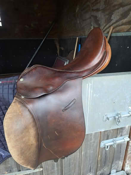 Photo of free General purpose saddle 18" (Pulborough) #1