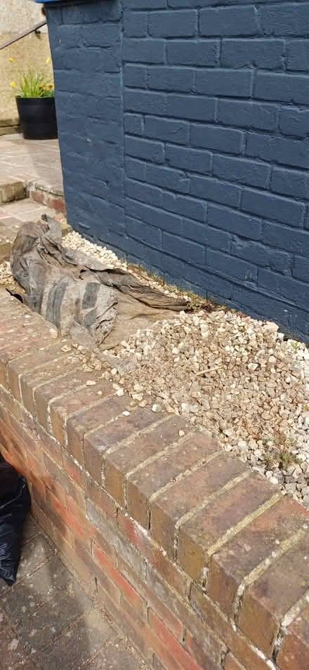 Photo of free Gravel (St Leonards) #2