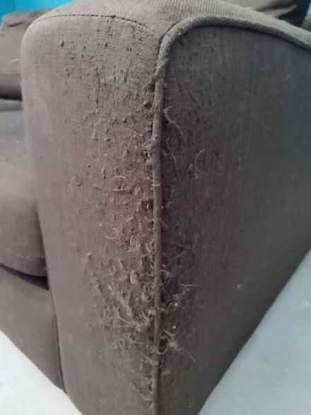 Photo of free 2 Seater Sofa (Billington BB7) #2