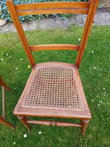 Photo of free Small dining chairs (CH2 Chester) #2