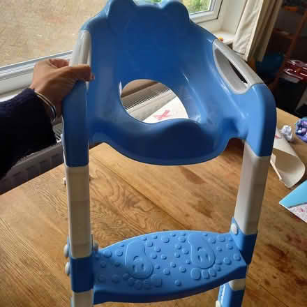 Photo of free Toilet seat and ladder (Dorking) #2