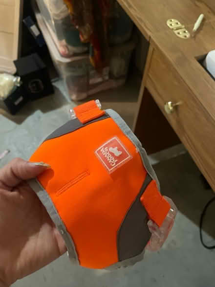 Photo of free Canada pooch harness (Bells corners) #1