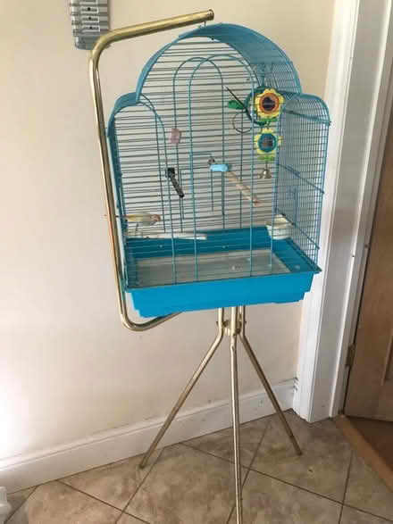 Photo of free Bird cage with stand (Hinchley Wood KT10) #1