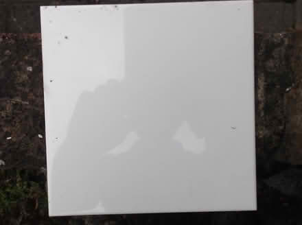 Photo of free White 6" square wall tiles -5 boxes (Langley SL3) #1