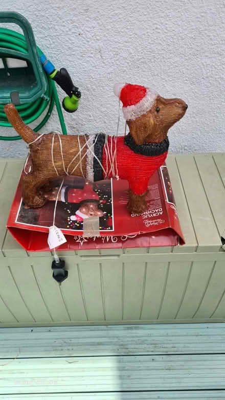 Photo of free Xmas light up sausage dag (CT11) #1