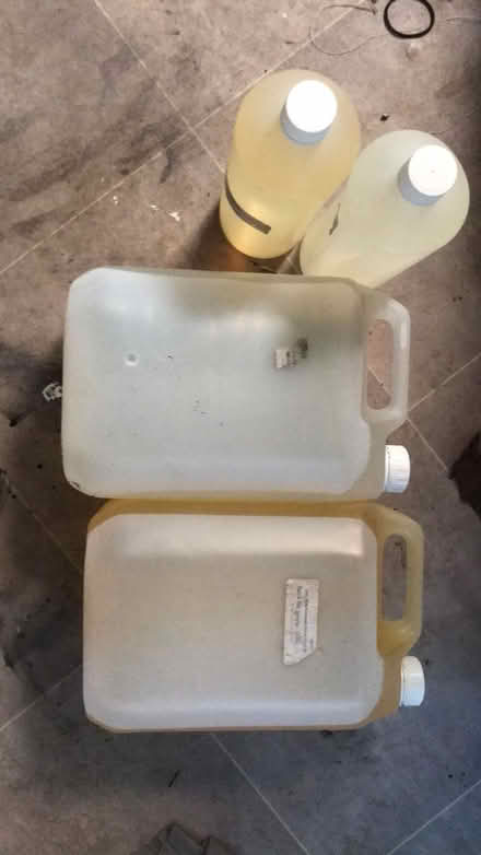 Photo of free Out of date oil (North Wingfield S42) #1