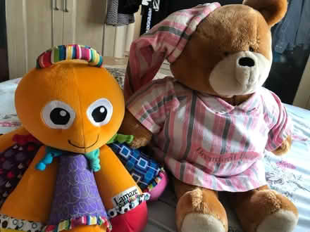 Photo of free Large bear and Lamaze musical baby toy (Wayfield ME5) #1