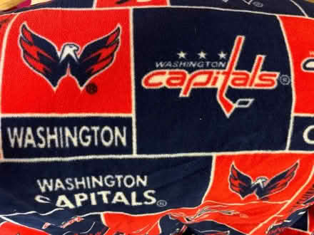 Photo of free Capitals fleece fabric (Woodside Forest) #1