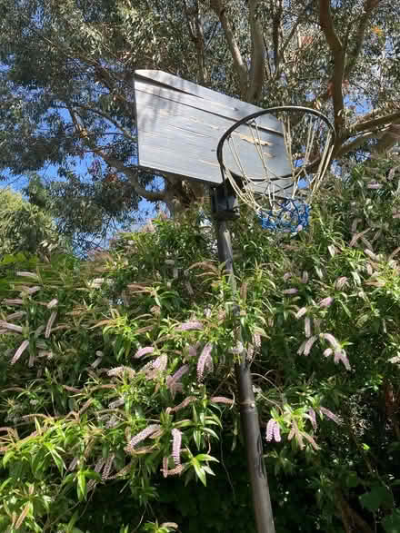 Photo of free Full height basket ball hoop (Five Ashes TN20)