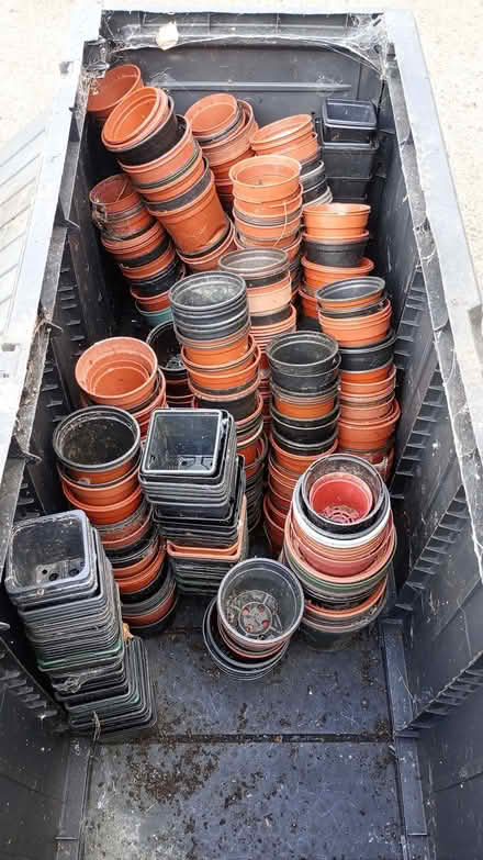Photo of free Plastic plant pots (Pannal HG2) #1