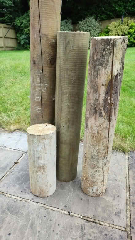 Photo of free Machine rounded fence timber (West Heath TN13) #1