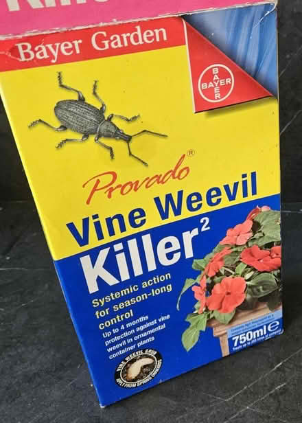 Photo of free Vine Weevil Killer (ME8, Gillingham) #1
