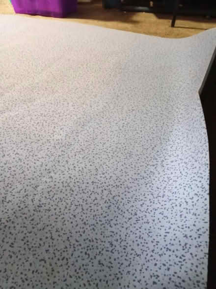 Photo of free Flotex flooring 6x8ft (Taunton) #1
