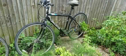 Photo of free Black bicycle (Lambeth) #1
