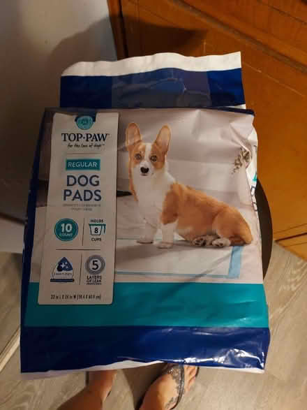 Photo of free Puppy pee pads (Independence) #1