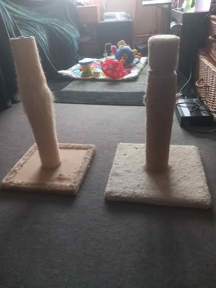Photo of free Cats scratching posts. (Turnford EN10) #1